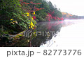 白駒池の紅葉 82773776