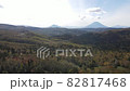 A mountain with a beautiful ridgeline that emerges beyond the primeval forest where the autumn leaves have advanced. 82817468
