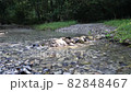 A beautiful river flowing through the stones in the mountains of the north caucasus. 82848467