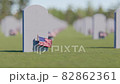 Veterans Cemetery, Memorial Day, National Holiday 82862361