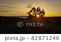Taken with a drone rising over the scenery of the sunrise and the sea of clouds 82871246