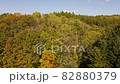 Aerial view of the autumnal virgin forest 82880379