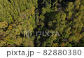 Aerial view of the autumnal virgin forest 82880380