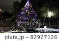 Christmas tree  82927126