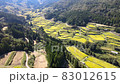 Drone aerial image of Yoshinobu rice terraces 83012615