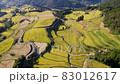 Drone aerial video of Tosa Shibakari no Sato 83012617