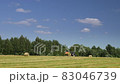 Video shot of seasonal work, agricultural tractor, feed preparation, harvesting feed for farm animals  83046739