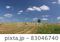 Video shot of rural landscape with lonely tree, blue sky, green grass and hay bales  83046740