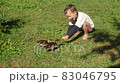 Video shot of summer time, wild ducks family, little brother and sister, feeding ducks, lakeside, riverbank  83046795