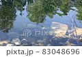 Surface of pure transparent water with reflection of trees 83048696