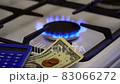 Gas burner, shortage 83066272