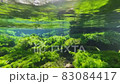 上高地の清流「清水川」の水中映像 83084417