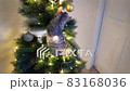 A cute playful cat climbed into the Christmas tree. 83168036