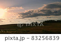 Combine harvester on field of wheat, harvesting wheat, agriculture, harvest time  83256839