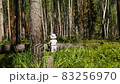 Videoshot of little girl walking with her grandmother in the forest 83256970