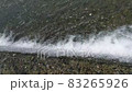 暖かくなって川を駆け上がるアユの群れ（鮎の遡上） 83265926