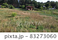 Landscape with idyllic rural backyard, wooden summer pavilion for relaxation, vegetable garden and sun lounger. 83273060