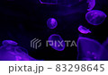 colorful jellyfishes on black background -   jellyfish  83298645