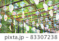 Japanese summer / wind chimes swaying in the wind / voice of cicadas 83307238