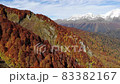 FullHD drone shot flying over autumn trees in alpine landscape against high rocky mountains with snowy peaks on a sunny day with clear blue sky 83382167