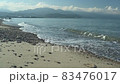 4 Shinkawa Beach, Iyo City, Ehime Prefecture 83476017