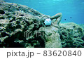 Statue in medicine mask on the bottom of the sea and several fish next to it. 83620840