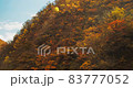 The angle of the autumn leaves 83777052