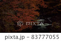 A row of autumn leaves along the beautiful river 83777055