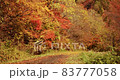 The leaves that turn red on the mountain path are blown by the wind and scattered 83777058