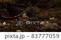 Stream in the mountains 83777059
