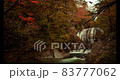 Japanese-style autumnal scenery and a large waterfall 83777062
