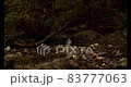 Wild landscape in the mountains 83777063