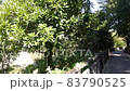 刈谷市岩ヶ池 83790525