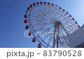 刈谷ハイウェイオアシスの観覧車 83790528