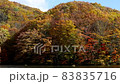 Autumn leaves 83835716