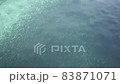 Huge school of fish from above water 83871071