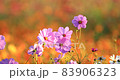 Big cosmos 83906323