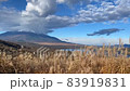 Mt. Fuji time lapse from Lake Yamanaka where Japanese pampas grass is in full bloom 83919831