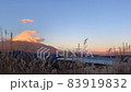 Mt. Fuji time lapse from the land of Japanese pampas grass 83919832