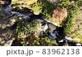 FullHD Drone flight over a mountain stream. Autumn forest. Panorama of mountain peaks in the snow 83962138