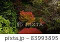 Kyoto in the forest Autumn leaves season (drone aerial photography) 83993895