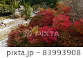 Kyoto in the forest Autumn leaves season (drone aerial photography) 83993908