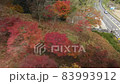 Kyoto in the forest Autumn leaves season (drone aerial photography) 83993912