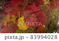 Kyoto in the forest Autumn leaves season (drone aerial photography) 83994028