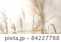 風に揺れるススキのスロー 84227788