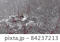 ツグミ　吹雪　 84237213