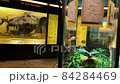 Munich, Germany- July 30, 2021: The interior of one of the halls of the Museum "Man and Nature" in Nymphenburg palace and park complex. 4K 84284469