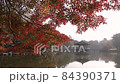 水面の反射でキラキラした紅葉がきれいな奈良公園の秋 84390371