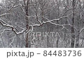 Winter landscape, snowy winter in the forest. Snow lies on the branches of trees. Birch forest in the snow. View from a height 84483736