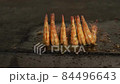 Street food in Egypt  84496643